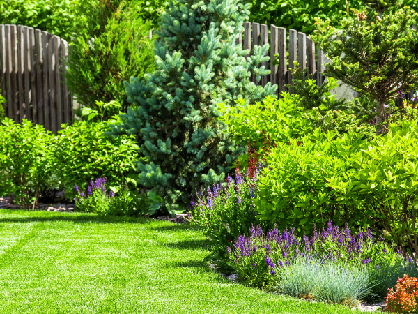 Gardener near me, erve landscape gardening lawn mowing, hedge trimming weeding
