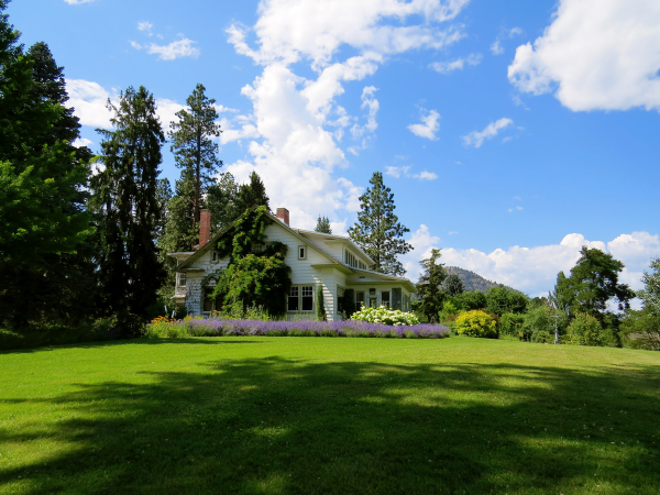 Summer Lawn Tidy and ready to go lawn mowing service, leaf tidying clearing 