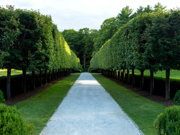 Gardener near me, erve landscape gardening lawn mowing, hedge trimming weeding